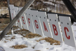 Major 8 Gong Set - RAW SET - Image 5